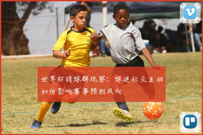 世界杯猜球群观察：球迷社交互动如何影响赛事预测风向