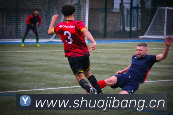 开云官方app下载入口平台生态图